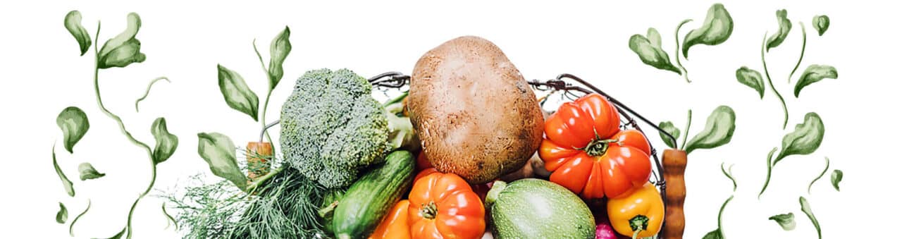 Cabecera Los Primos Market