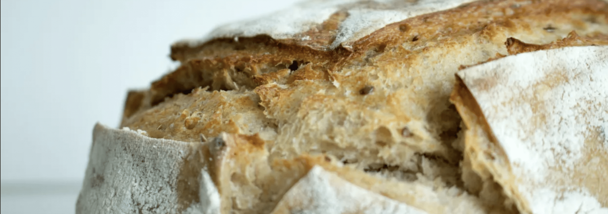 Cabecera Leon the Baker