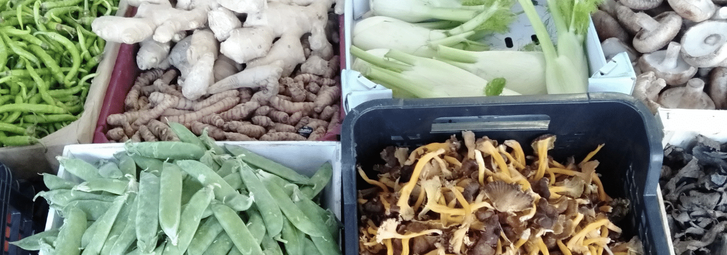 Cabecera El mercado de Santi