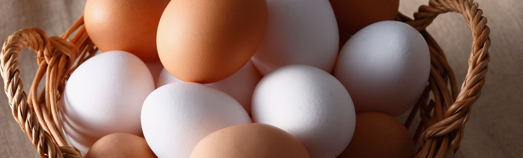 huevos camperos